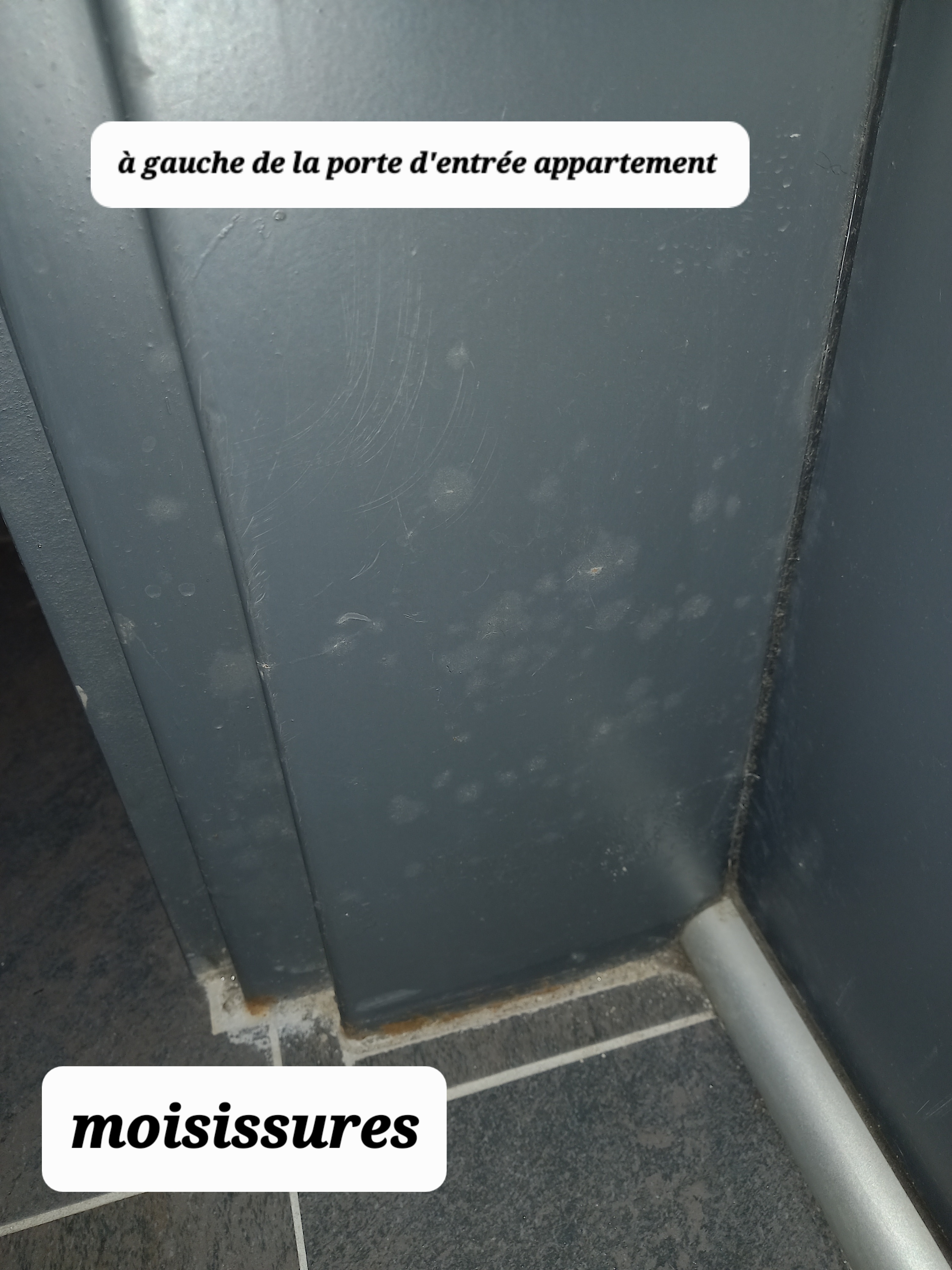 Photo n° 2 de l'avis de B..o fait le 03/08/2023 à 08:01