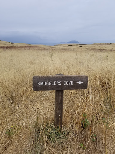 National Park «Channel Islands National Park», reviews and photos