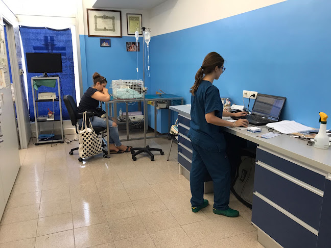 Ambulatorio Veterinario Fiocco Scalvi - Veterinario