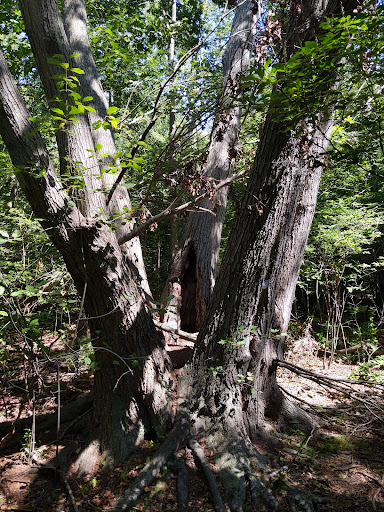 Park «Mansfield Park», reviews and photos, 85 Walker St, Massapequa Park, NY 11762, USA