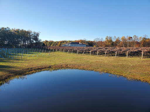 Winery «DelMonaco Winery & Vineyards», reviews and photos, 600 Lance Dr, Baxter, TN 38544, USA