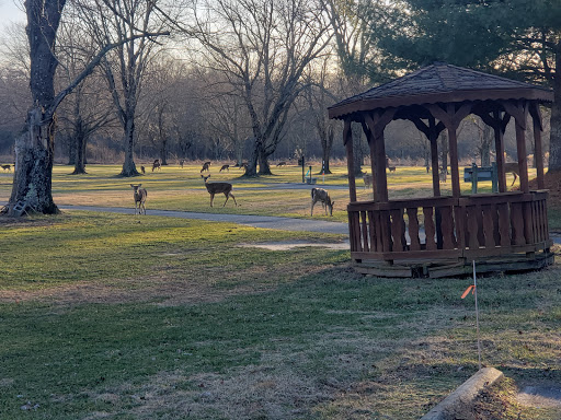 Public Golf Course «Algonkian Golf Course», reviews and photos, 47001 Fairway Dr, Sterling, VA 20165, USA