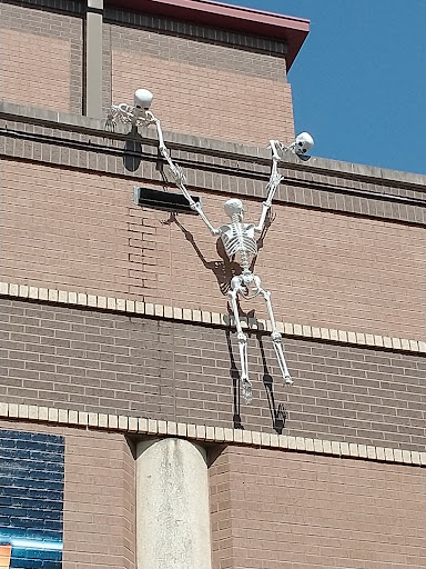 Museum «The Health Museum», reviews and photos, 1515 Hermann Dr, Houston, TX 77004, USA
