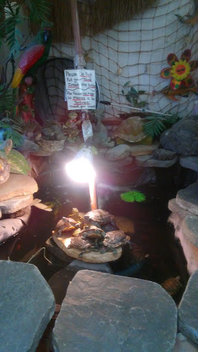 Pet Store «La Selva Pet Shop», reviews and photos, 3721 Tweedy Blvd, South Gate, CA 90280, USA