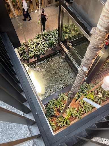 Shopping Mall «Bal Harbour Shops», reviews and photos, 9700 Collins Ave, Bal Harbour, FL 33154, USA