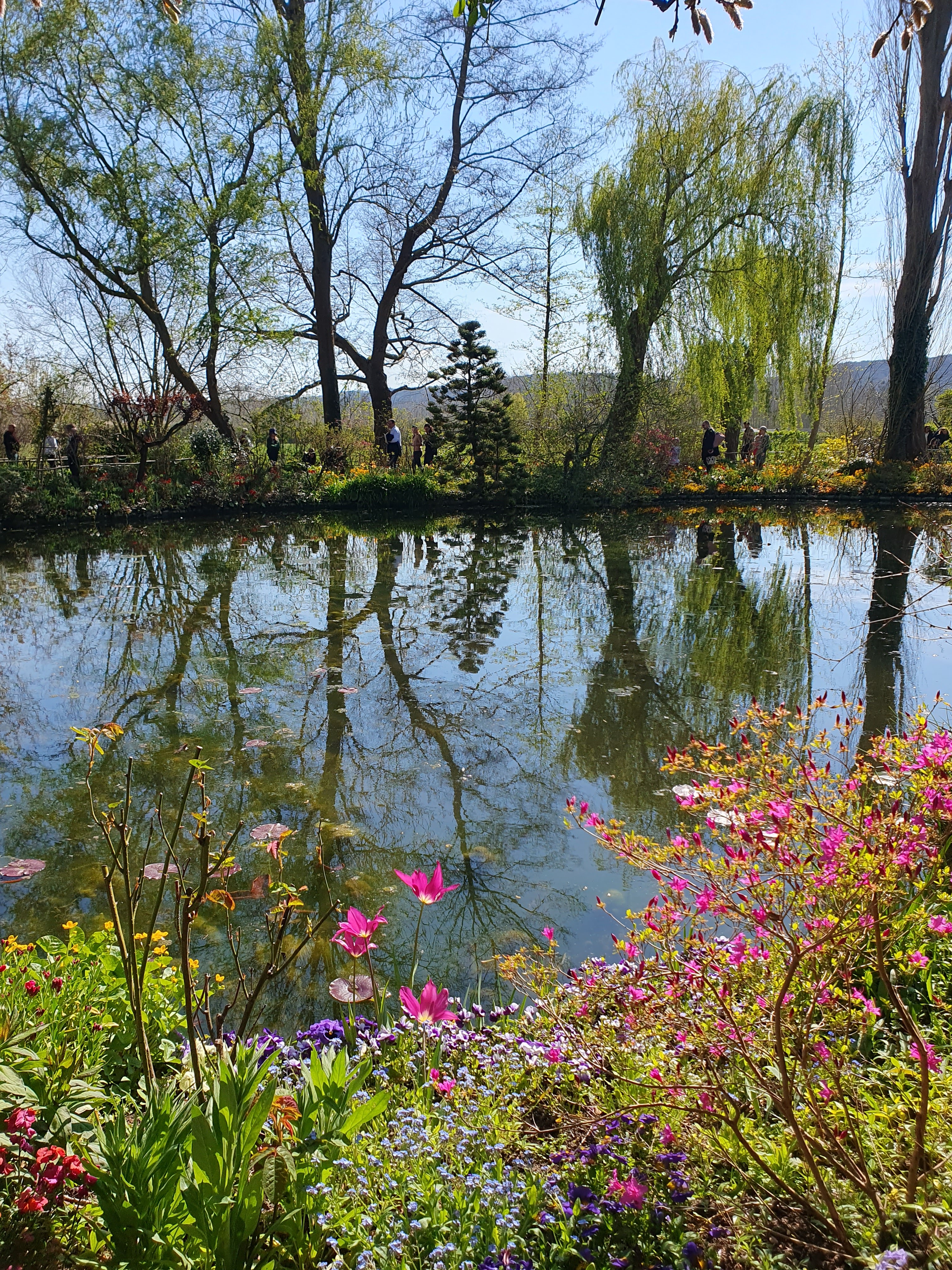 Photo n° 6 de l'avis de Camille. fait le 09/04/2023 à 04:07