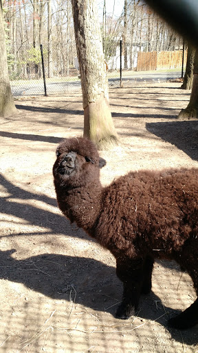 Zoo «Lupa Zoo», reviews and photos, 62 Nash Hill Rd, Ludlow, MA 01056, USA