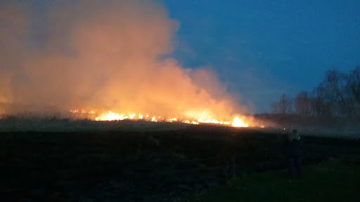 Nature Preserve «Jacob Krumm Nature Preserve», reviews and photos, 15148 Jacob Ave, Grinnell, IA 50112, USA