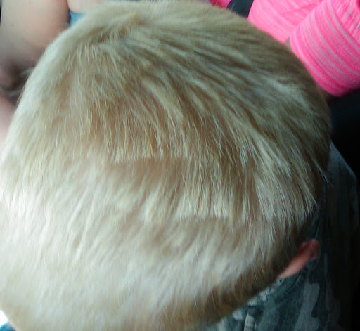 Hair Salon «Sport Clips Haircuts of Falcon», reviews and photos, 7639 McLaughlin Rd, Falcon, CO 80831, USA