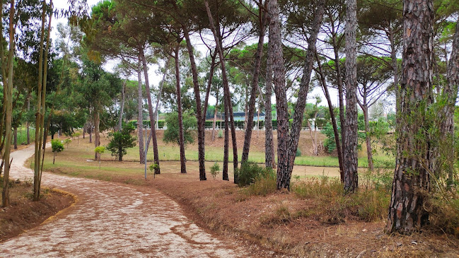 Avaliações doParque dos Pinheiros Mansos - Oliveira do Bairro em Oliveira do Bairro - Campo de futebol