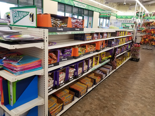 Dollar Store «Dollar Tree», reviews and photos, 1243 E Higgins Rd, Schaumburg, IL 60173, USA
