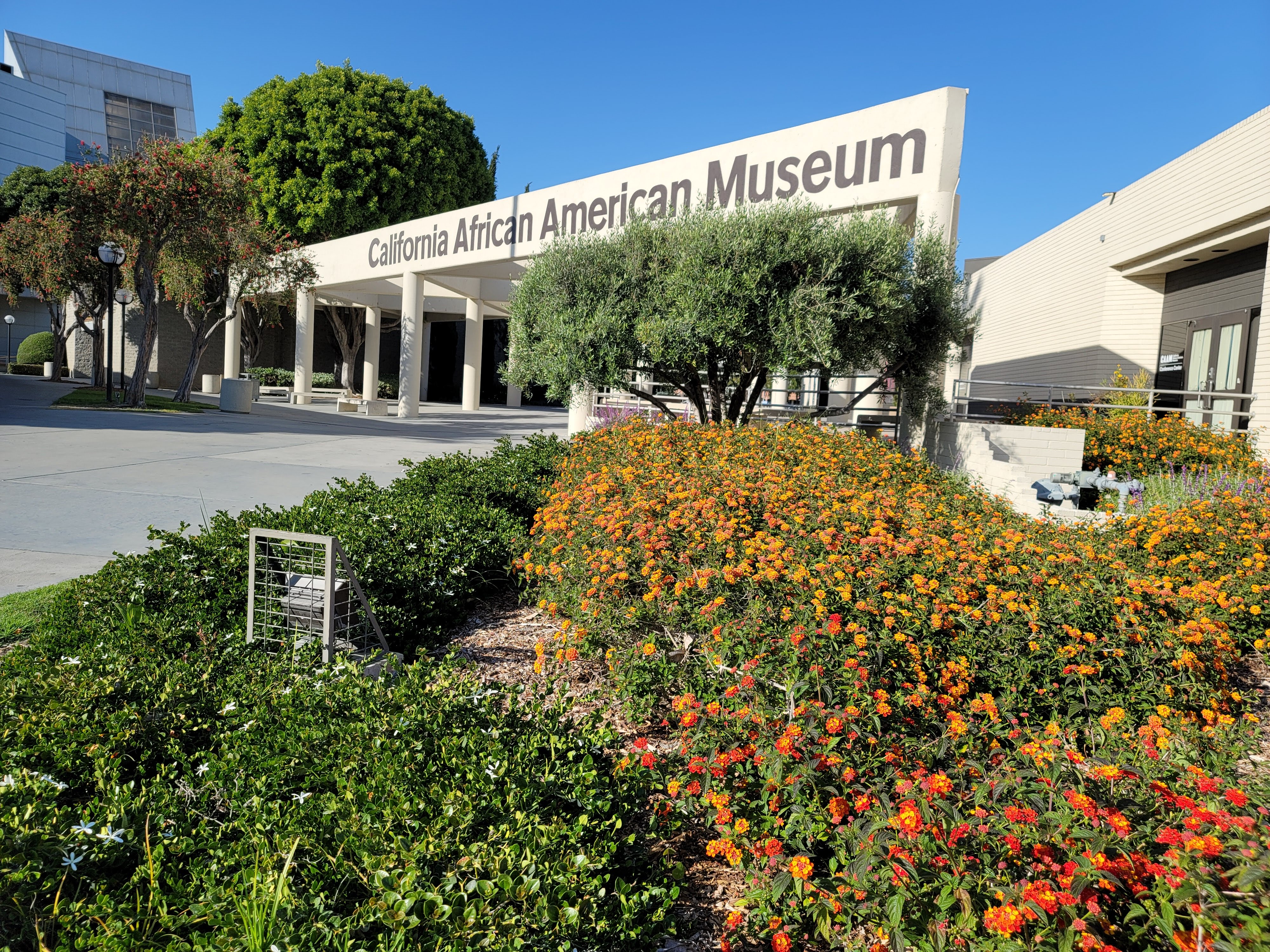 Picture of a place: California African American Museum