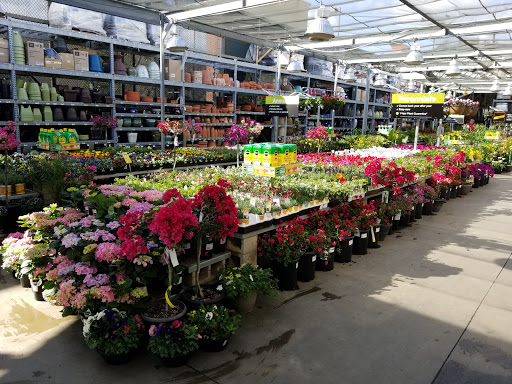 The Home Depot image