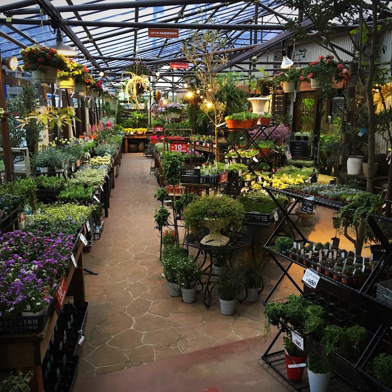 フラワーショップ 開花園本店 福井県福井市高柳 花屋 花 グルコミ