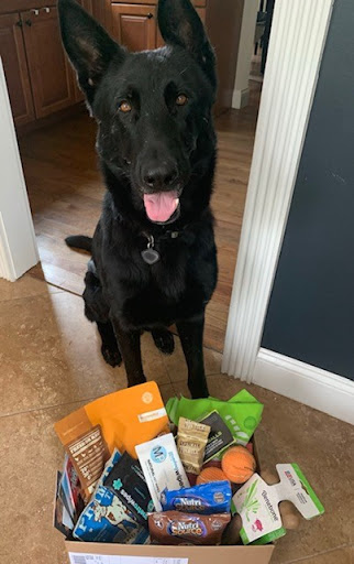 Pet Supply Store «Park Pet Supply Inc», reviews and photos, 479 Flat Shoals Ave SE # A, Atlanta, GA 30316, USA