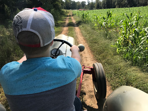 Tourist Attraction «Still Family Farm, LLC», reviews and photos, 5630 Macland Rd, Powder Springs, GA 30127, USA