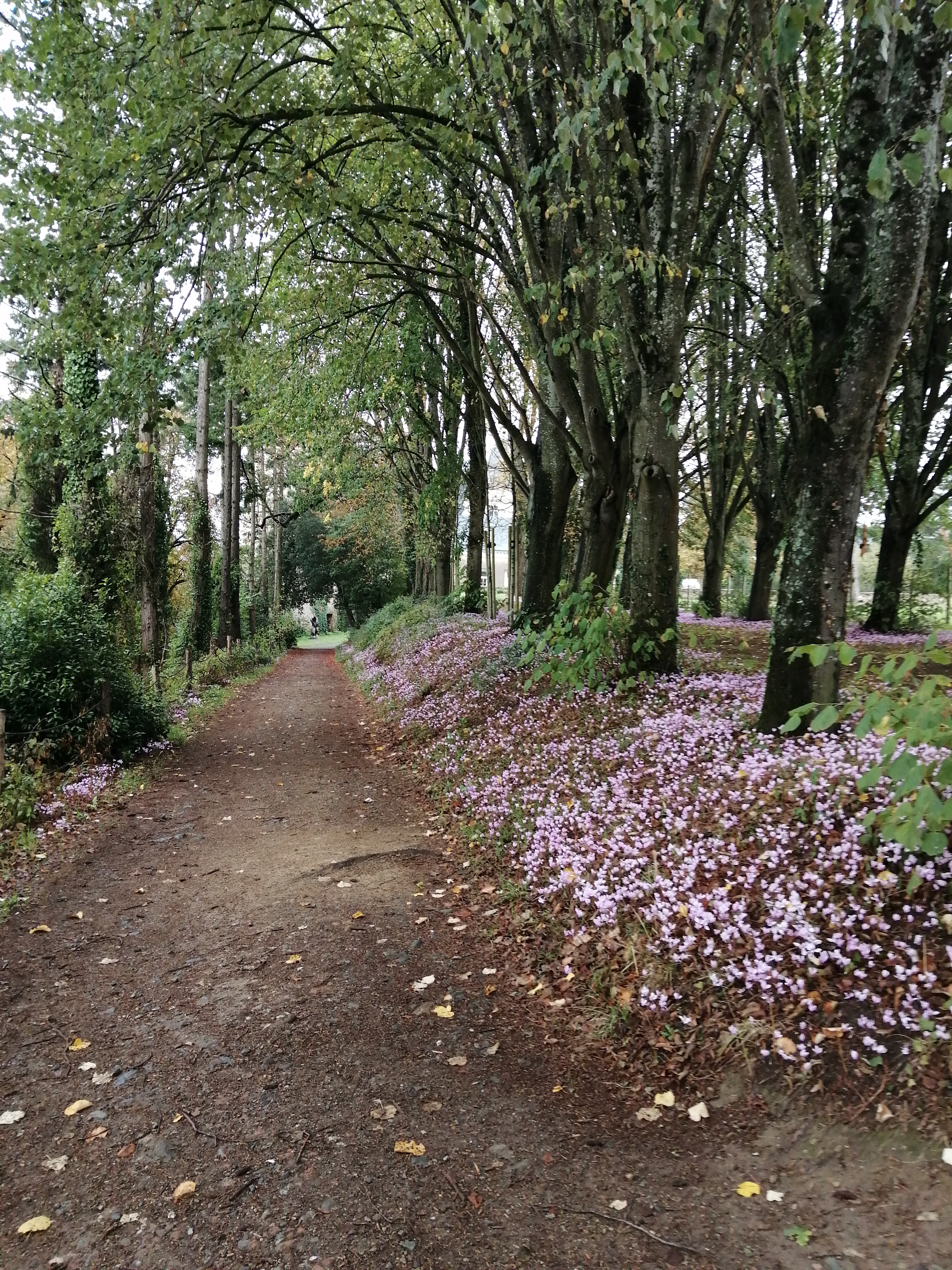 Photo n° 1 de l'avis de laurent.a fait le 17/03/2023 à 04:51