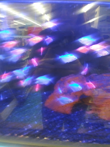 Pet Supply Store «Petco Animal Supplies», reviews and photos, 200 McMahan Blvd, Marion, OH 43302, USA