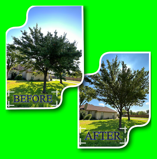 How To Control Crabgrass In Spring With Pre Emergent 1