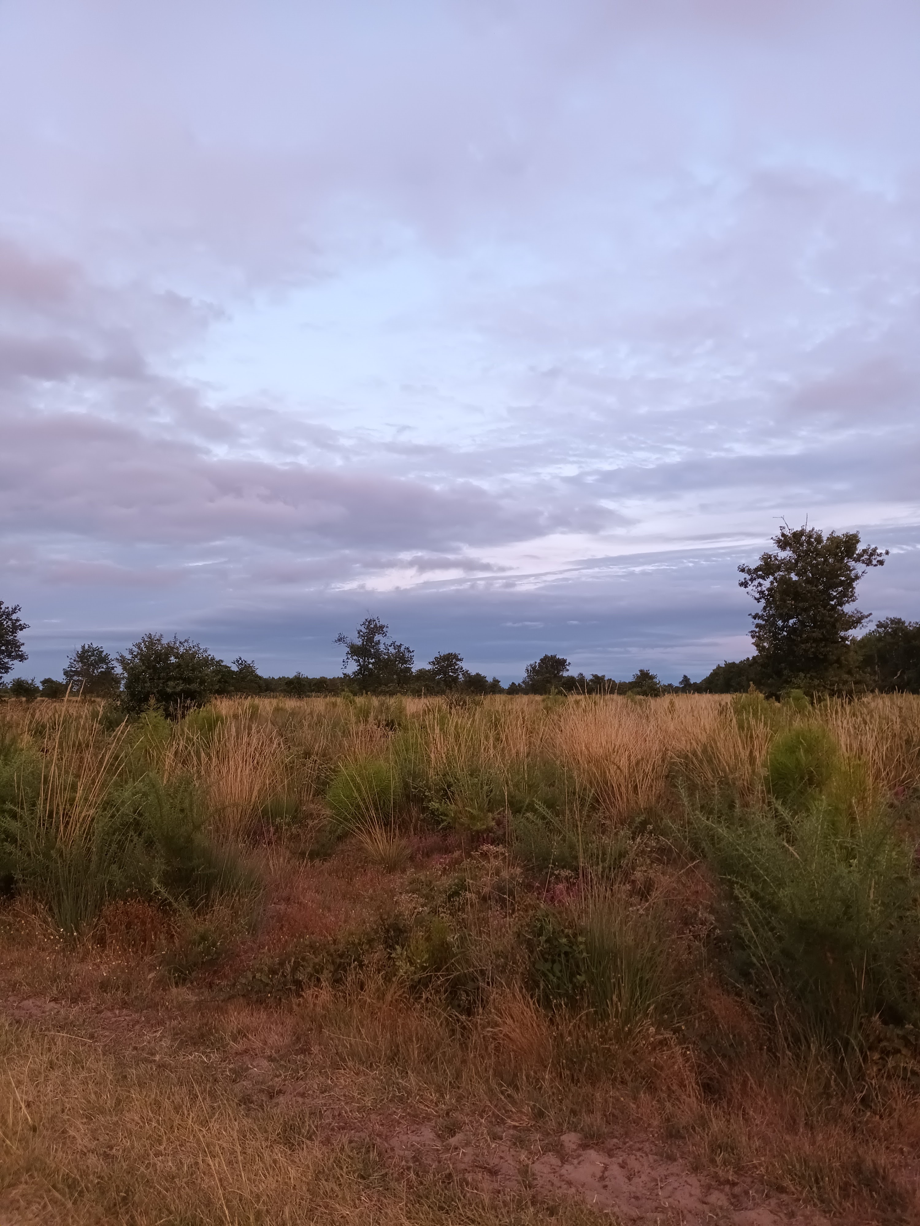 Photo n° 2 de l'avis de estelle.u fait le 29/07/2023 à 08:51