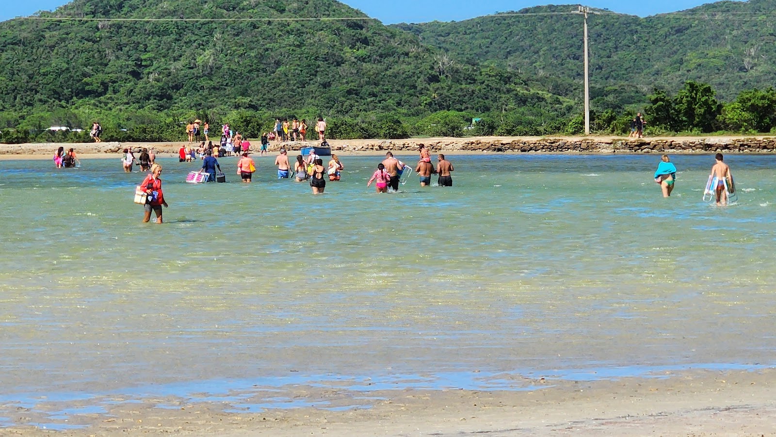 Praia da Ilha do Japones'in fotoğrafı vahşi alan