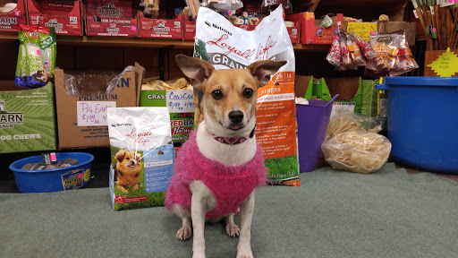 Pet Supply Store «Higbie Farm Supplies Inc», reviews and photos, 3440 Union St, North Chili, NY 14514, USA