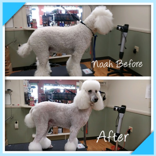 Pet Supply Store «EarthWise Pet Supply & Grooming», reviews and photos, 245 Fries Mill Rd, Blackwood, NJ 08012, USA