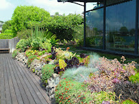 Inscapes Landscaping - Photo 5 - Car repair in Rohnert Park, CA, Santa Rosa