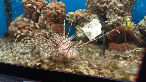 Pet Supply Store «Petco Animal Supplies», reviews and photos, 5239 Harvey St, Norton Shores, MI 49444, USA