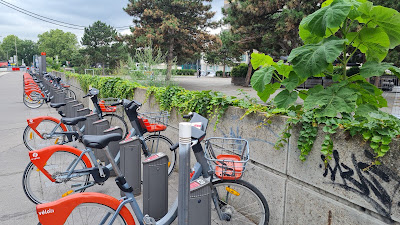 Vélo'v à Lyon