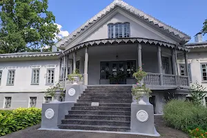 The National Pirogov's Estate Museum image