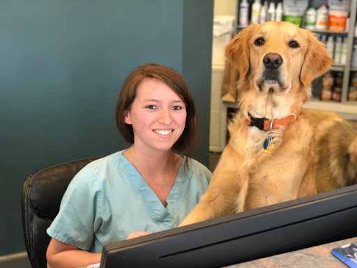 Emerald City Animal Hospital image