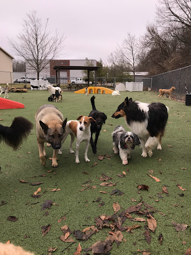 Pet Store «Happy, Clean and Smart», reviews and photos, 5700 W Kilgore Ave, Muncie, IN 47304, USA