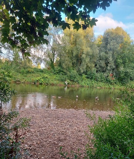 River Taff