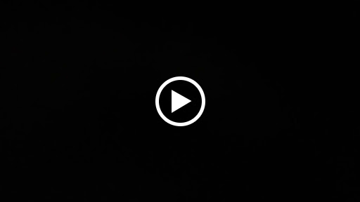 Tattoo and Piercing Shop «Black Hole Body Piercing & Tattoo», reviews and photos, 12550 SW 1st St, Beaverton, OR 97005, USA