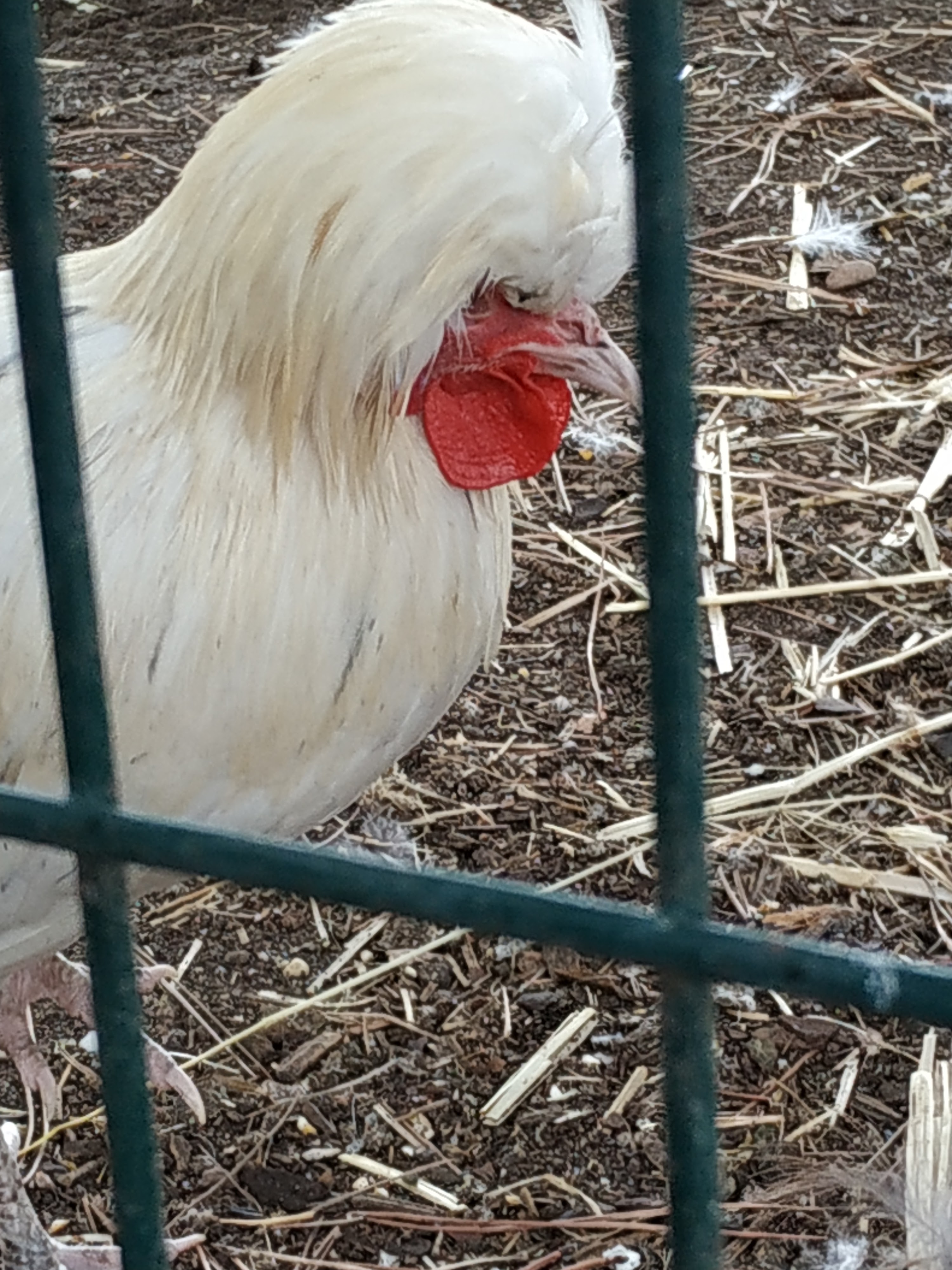 Photo n° 4 de l'avis de Jessy.e fait le 25/08/2018 à 16:56