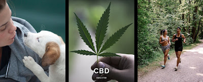 CBDtech spécialisé en CBD Made in France à Moulins