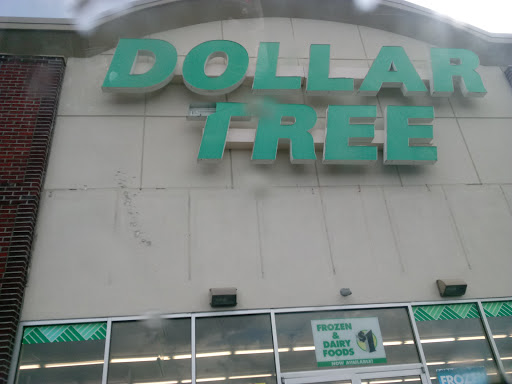 Dollar Store «Dollar Tree», reviews and photos, 11337 Tara Blvd, Hampton, GA 30228, USA