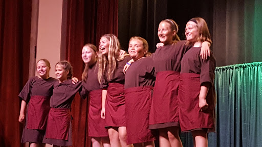 Performing Arts Theater «The Park Theater», reviews and photos, 115 W Main St, McMinnville, TN 37110, USA