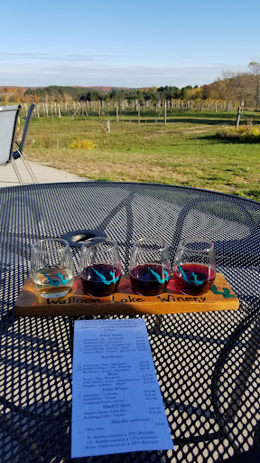 Winery «Walloon Lake Winery», reviews and photos, 3149 Intertown Rd, Petoskey, MI 49770, USA