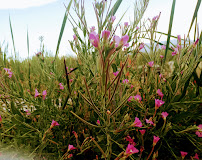 Avalon Institute - Layton - Photo 3 - Car repair in Layton, UT, Ogden