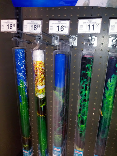 Petco image