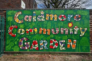 Caldmore Community Garden image