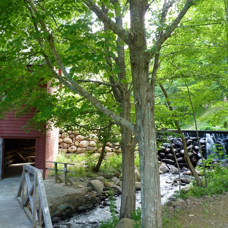 Wile Carding Mill Museum