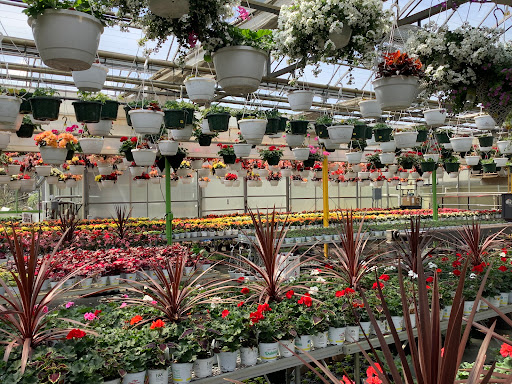 Florist «Dutch & Olgas Greenhouse», reviews and photos, 1285 NJ-36, Hazlet, NJ 07730, USA