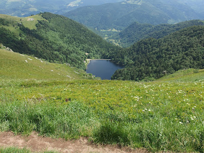 Cimes et Sentiers à Gérardmer