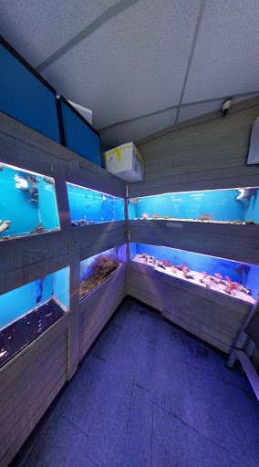 Tropical Fish Store «Aquatouch», reviews and photos, 12040 N 32nd St, Phoenix, AZ 85028, USA