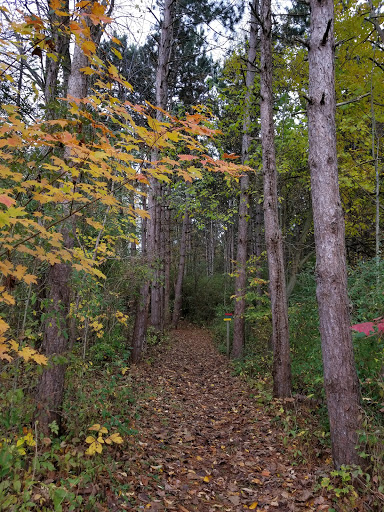 Nature Preserve «Sutherland Nature Sanctuary», reviews and photos, 3998 Diehl Rd, Metamora, MI 48455, USA