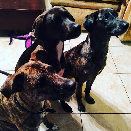 Explore slash tattoo ideas, creative tattoo ideas in New Orleans, available at Catahoula Tattoo 