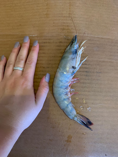 Seafood Market «Jensen Brothers Seafood», reviews and photos, 911 Douglas Ave, Dunedin, FL 34698, USA